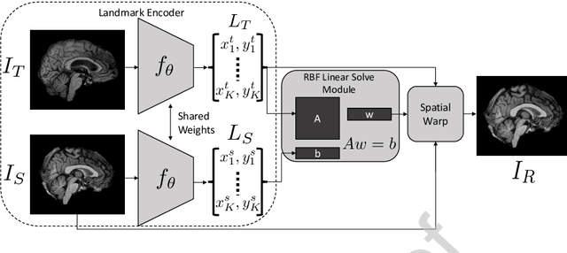 Figure 1 for Leveraging Unsupervised Image Registration for Discovery of Landmark Shape Descriptor