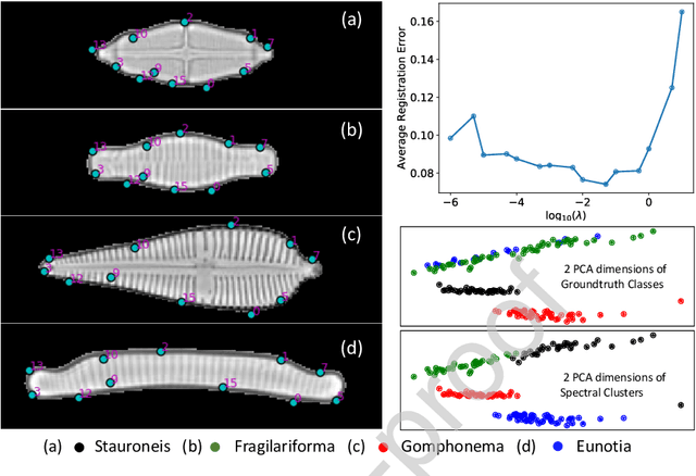 Figure 3 for Leveraging Unsupervised Image Registration for Discovery of Landmark Shape Descriptor