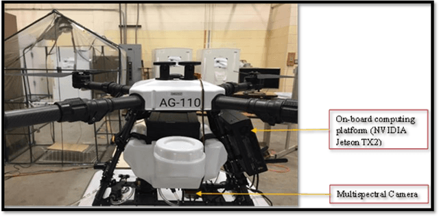 Figure 3 for Assessing The Performance of YOLOv5 Algorithm for Detecting Volunteer Cotton Plants in Corn Fields at Three Different Growth Stages