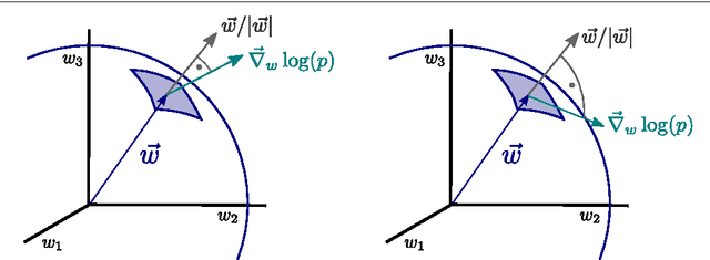 Figure 2 for Generating functionals for computational intelligence: the Fisher information as an objective function for self-limiting Hebbian learning rules