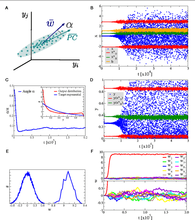 Figure 4 for Generating functionals for computational intelligence: the Fisher information as an objective function for self-limiting Hebbian learning rules