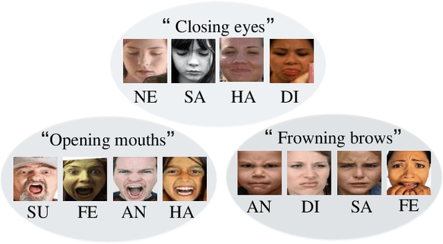 Figure 1 for Feature Decomposition and Reconstruction Learning for Effective Facial Expression Recognition