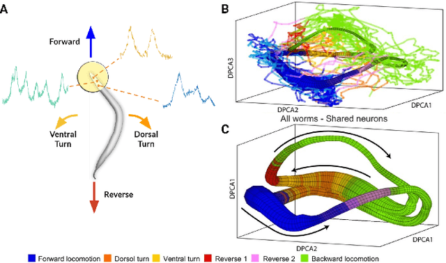 Figure 3 for Generalizable Machine Learning in Neuroscience using Graph Neural Networks