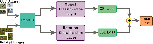 Figure 3 for Self-Supervised Learning for Fine-Grained Visual Categorization