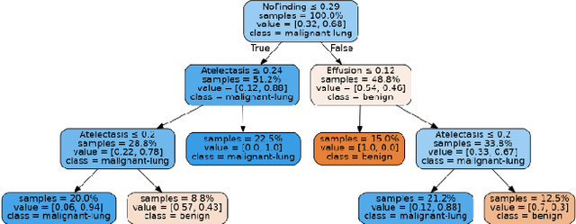 Figure 4 for Automatic Generation of Interpretable Lung Cancer Scoring Models from Chest X-Ray Images