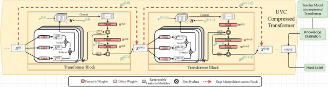 Figure 1 for Unified Visual Transformer Compression