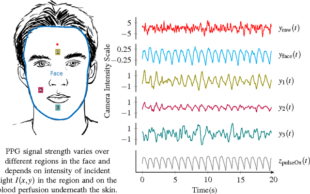 Figure 1 for DistancePPG: Robust non-contact vital signs monitoring using a camera