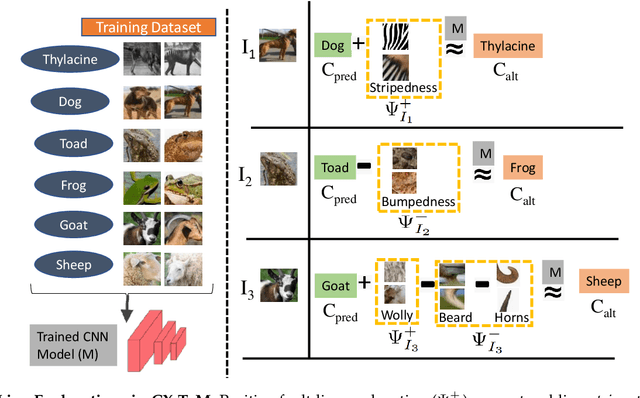 Figure 3 for CX-ToM: Counterfactual Explanations with Theory-of-Mind for Enhancing Human Trust in Image Recognition Models