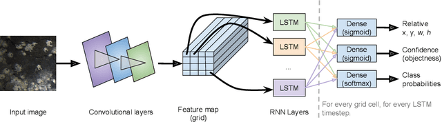 Figure 3 for Object detection for crabs in top-view seabed imagery