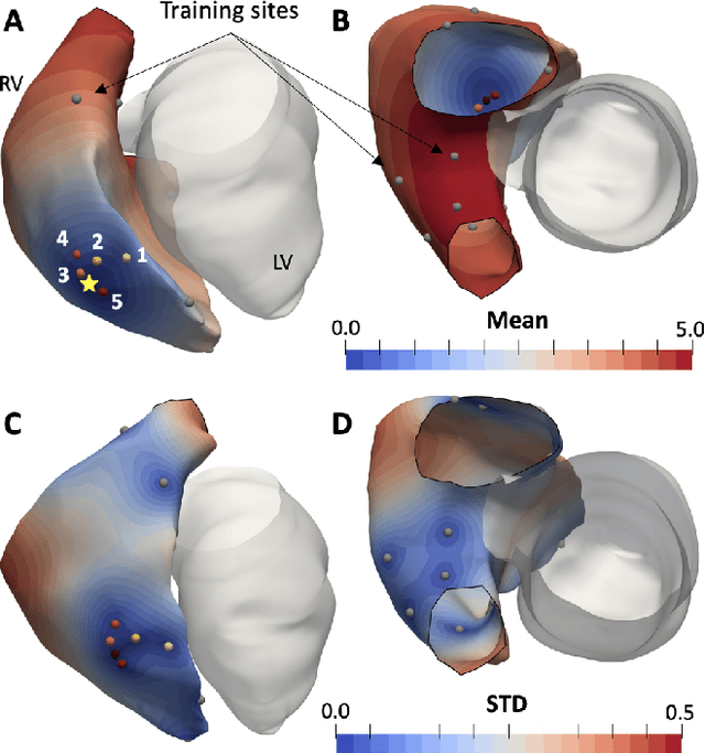 Figure 2 for Learning cardiac activation maps from 12-lead ECG with multi-fidelity Bayesian optimization on manifolds