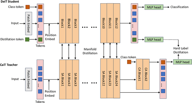 Figure 3 for Efficient Vision Transformers via Fine-Grained Manifold Distillation