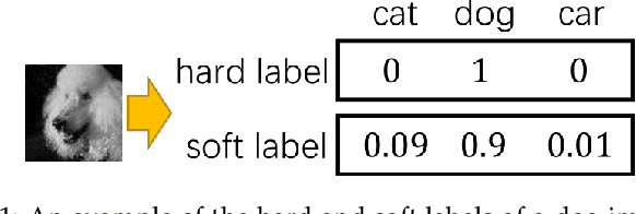 Figure 1 for Distilling and Transferring Knowledge via cGAN-generated Samples for Image Classification and Regression