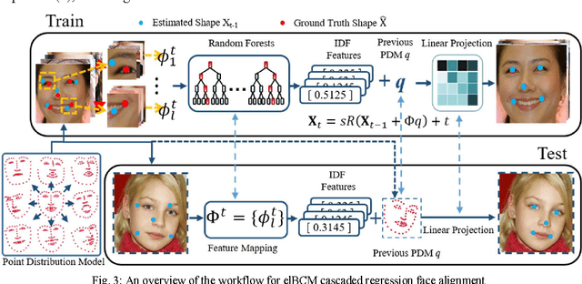 Figure 3 for Efficient Likelihood Bayesian Constrained Local Model