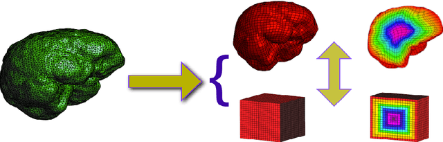 Figure 1 for Volumetric Mapping of Genus Zero Objects via Mass Preservation