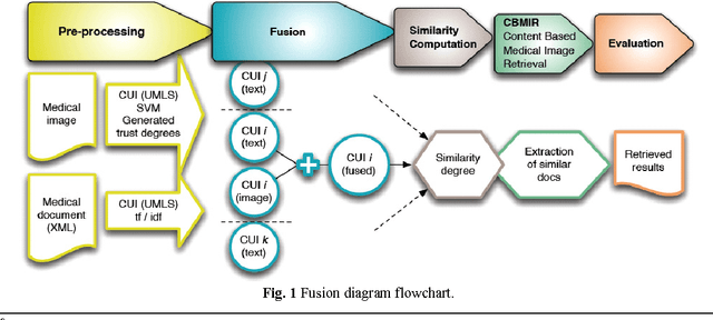 Figure 1 for Prospective Study for Semantic Inter-Media Fusion in Content-Based Medical Image Retrieval