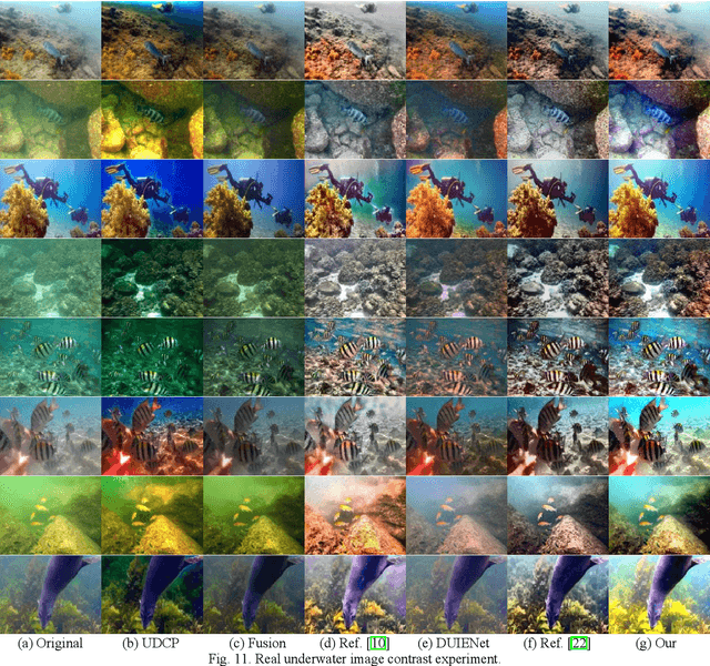 Figure 3 for Underwater Image Enhancement Based on Structure-Texture Reconstruction