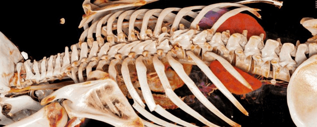 Figure 4 for Shaping the Future through Innovations: From Medical Imaging to Precision Medicine