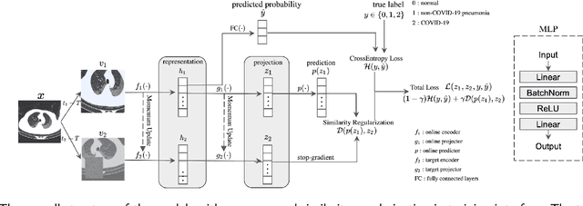 Figure 2 for Improving COVID-19 CT Classification of CNNs by Learning Parameter-Efficient Representation