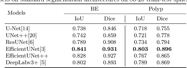 Figure 2 for EndoUDA: A modality independent segmentation approach for endoscopy imaging