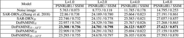 Figure 2 for DoPAMINE: Double-sided Masked CNN for Pixel Adaptive Multiplicative Noise Despeckling