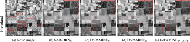 Figure 3 for DoPAMINE: Double-sided Masked CNN for Pixel Adaptive Multiplicative Noise Despeckling