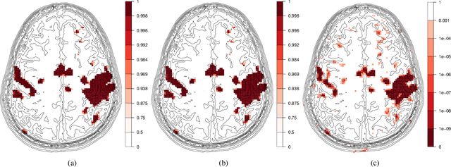 Figure 1 for Fast spatial inference in the homogeneous Ising model