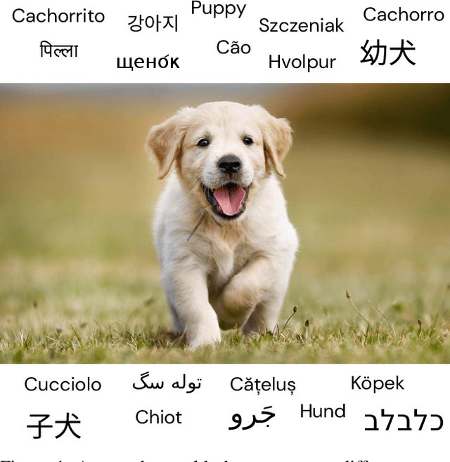 Figure 1 for Visual Grounding in Video for Unsupervised Word Translation