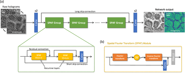 Figure 1 for Fourier Imager Network : A deep neural network for hologram reconstruction with superior external generalization