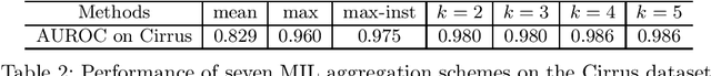Figure 4 for Multi-Instance Multi-Scale CNN for Medical Image Classification
