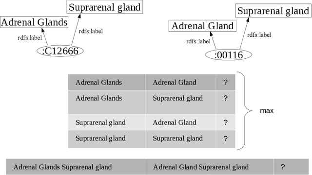 Figure 3 for Matching with Transformers in MELT