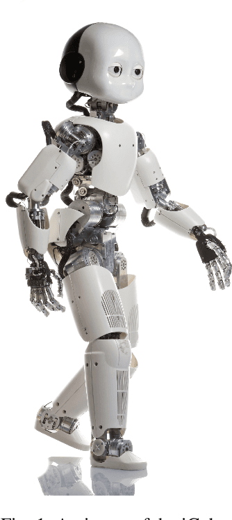 Figure 1 for iCub