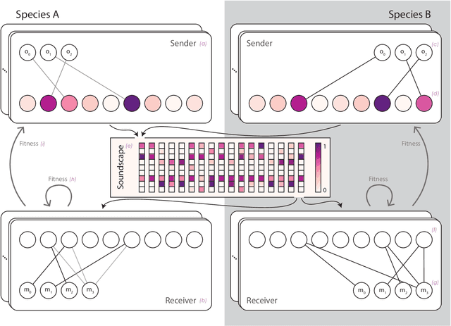 Figure 1 for An artifcial life approach to studying niche differentiation in soundscape ecology