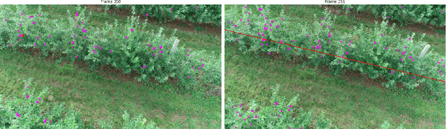 Figure 2 for A methodology for detection and localization of fruits in apples orchards from aerial images