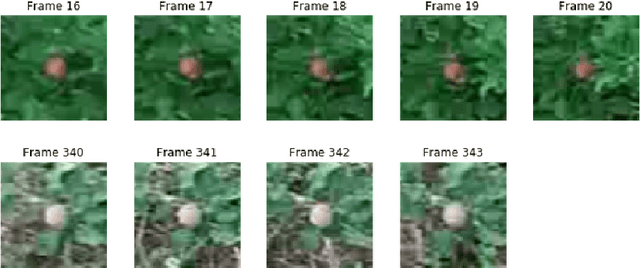 Figure 3 for A methodology for detection and localization of fruits in apples orchards from aerial images