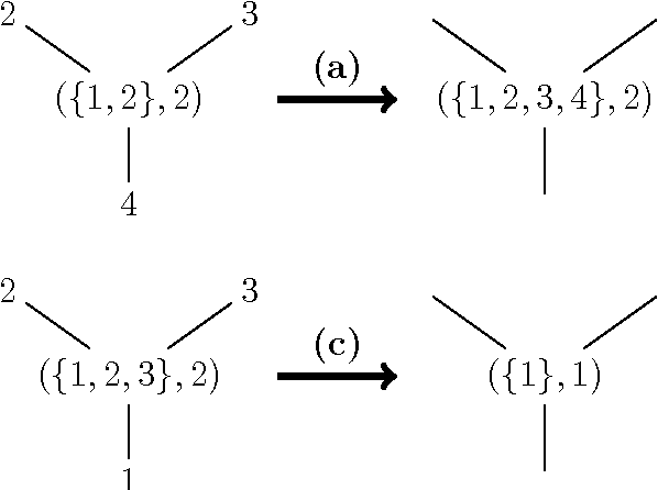 Figure 2 for Automata networks for multi-party communication in the Naming Game