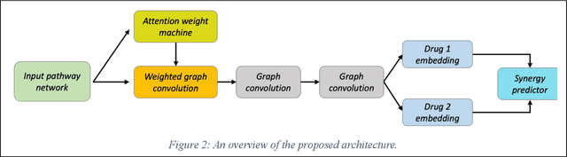 Figure 2 for Interpretable Drug Synergy Prediction with Graph Neural Networks for Human-AI Collaboration in Healthcare