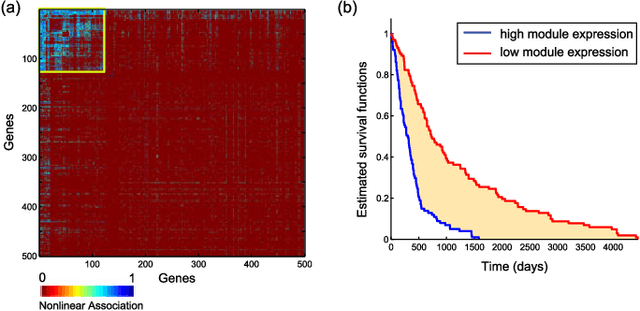 Figure 4 for Network Maximal Correlation