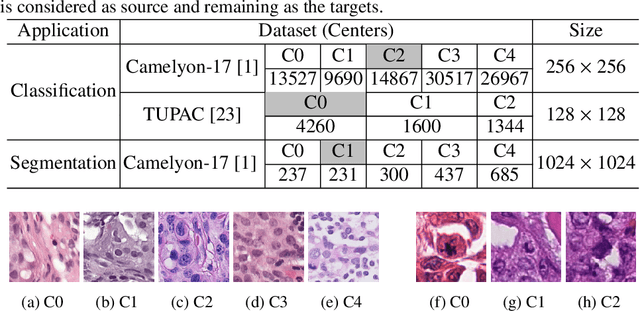 Figure 2 for FUSION: Fully Unsupervised Test-Time Stain Adaptation via Fused Normalization Statistics