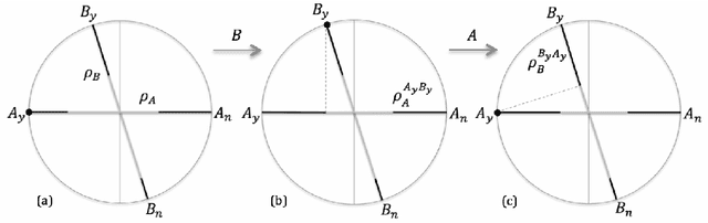 Figure 3 for Quantum cognition beyond Hilbert space II: Applications