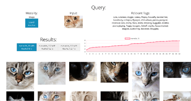 Figure 1 for DIME: An Online Tool for the Visual Comparison of Cross-Modal Retrieval Models