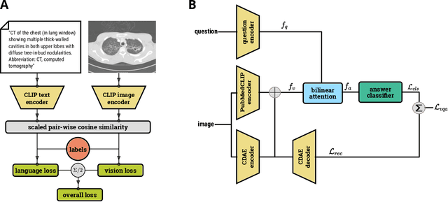 Figure 1 for Does CLIP Benefit Visual Question Answering in the Medical Domain as Much as it Does in the General Domain?