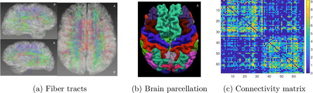 Figure 1 for Auto-encoding graph-valued data with applications to brain connectomes