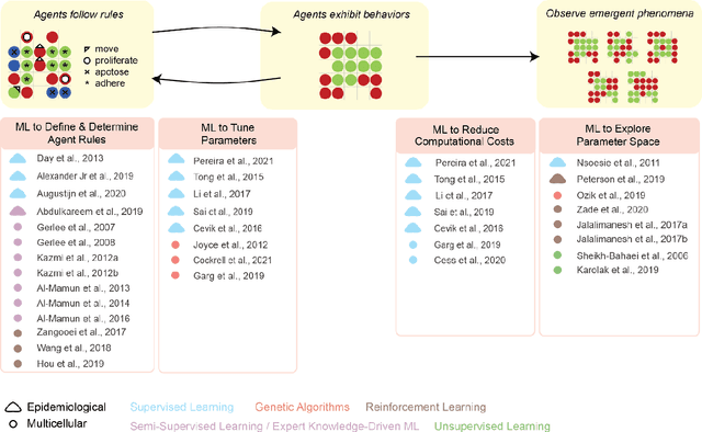 Figure 2 for Combining Machine Learning and Agent-Based Modeling to Study Biomedical Systems