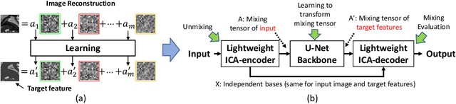 Figure 1 for ICA-UNet: ICA Inspired Statistical UNet for Real-time 3D Cardiac Cine MRI Segmentation
