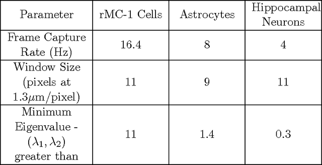 Figure 2 for Mapping the spatiotemporal dynamics of calcium signaling in cellular neural networks using optical flow