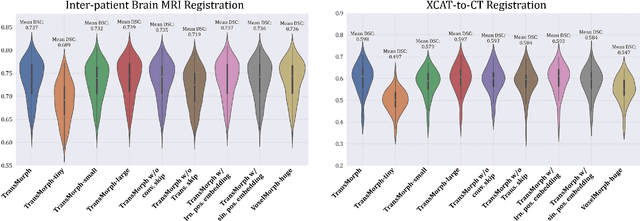 Figure 3 for TransMorph: Transformer for unsupervised medical image registration