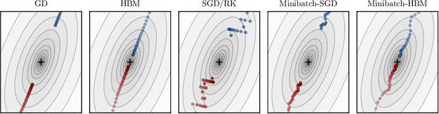 Figure 1 for On the fast convergence of minibatch heavy ball momentum