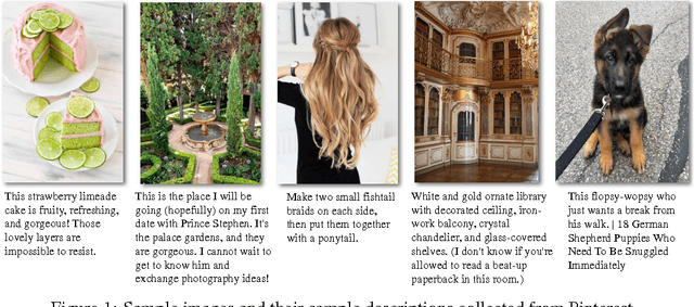 Figure 1 for Training and Evaluating Multimodal Word Embeddings with Large-scale Web Annotated Images