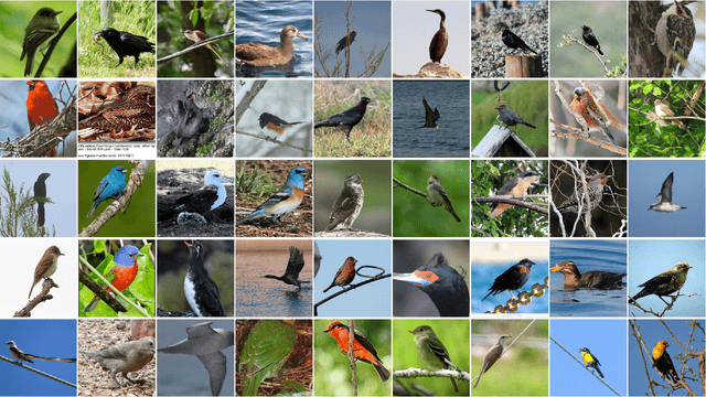 Figure 2 for CBIR using Pre-Trained Neural Networks