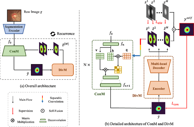 Figure 1 for Learning self-calibrated optic disc and cup segmentation from multi-rater annotations